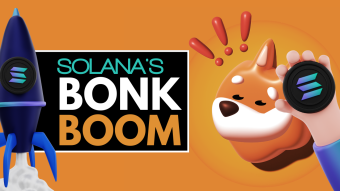 "The Power of Bonk: Solana's Rise to the Top"