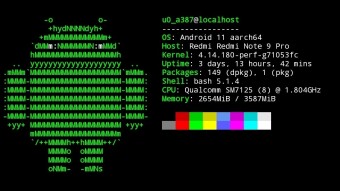 Neofetch as MOTD in Termux