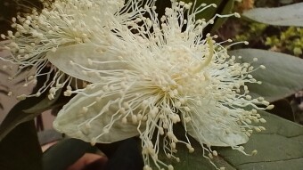 Let Us talk about some facts of nature