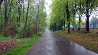 Today the weather messed up my plans a bit - My Actifit Report Card: May 6 2023