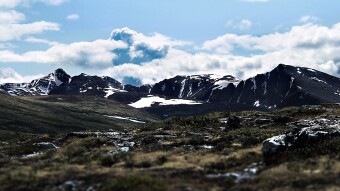Sheep and mountains