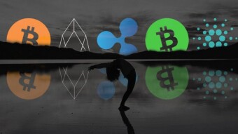 Study: developers leave EOS, Bitcoin Cash and Tron