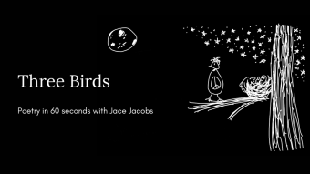 Three Birds