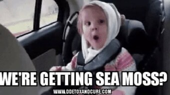 We're getting Sea Moss?