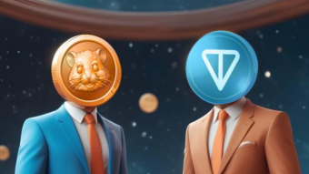 The biggest airdrop on the TON network today