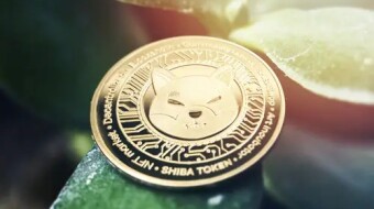 Rise of DAOs: Just Hype or Profitable Industry in the Making?