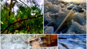 WATER DROPS Photography.