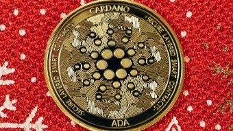 Cardano Is Increasing The Block Size On The 4th Of February