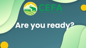 CEFA Airdrop - Free 100 CEFA ($25)