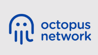 A Layer 1 Leverage Trade (Without using leverage): Octopus Network