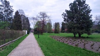 A Spring Friday, but a Cool One - My Actifit Report Card: April 24, 2026