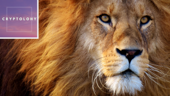 10 Reasons to #SwitchToBrave