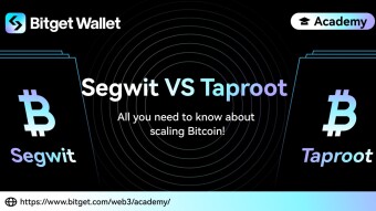 Understanding Bitcoin: Native SegWit vs. Taproot