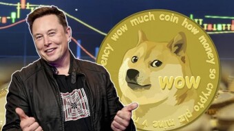 Doge New Update 1.14.4 Bullish