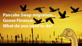 Goose Finance: How to face the PCS Migration