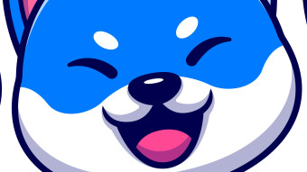 How to Gain Some Extra Money (Crypto) and Passive Income with Vita Inu