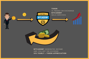 The two most important factors at the time of STO investment: security and ROI