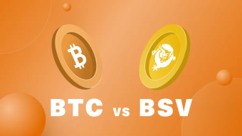 Bitcoin (BTC) vs. Bitcoin Satoshi Vision (BSV)