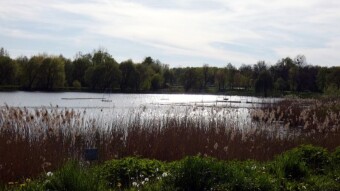 A balanced day, a bit of a walk, a bit of a bike - My Actifit Report Card: May 2 2023
