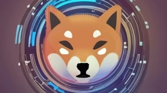 Shiba Inu Token May Smash Records In 2025