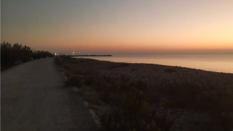 The Dark Sea Road