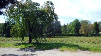 Wednesday is very warm again - a successful walk - My Actifit Report Card: August 7 2024