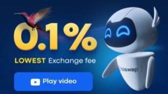 Biswap: what it is and how it works | Review