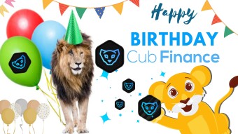 Cub Finance - The Lion King birthday party!