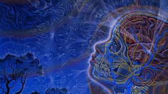 Bitcoin Observations - Week of 4/11