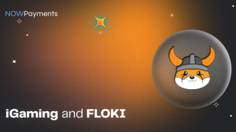 How do iGaming Companies Benefit from FLOKI?
