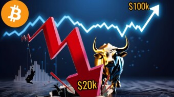 "'Bitcoin Will Slump Back To $20K Levels Before Making New ATHs.'' Another Brain Fade Observation Or An Impending Reality