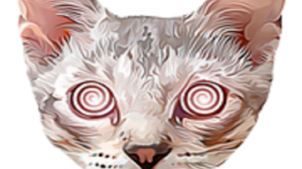 Luscus Cat - Based in cat style, as opposed to numerous tokens, such as Dogecoin and SHIB