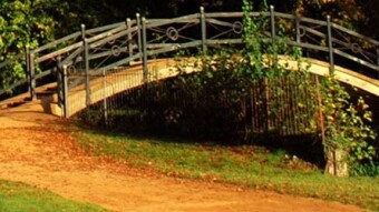The Bridges to Crypto Wall Street