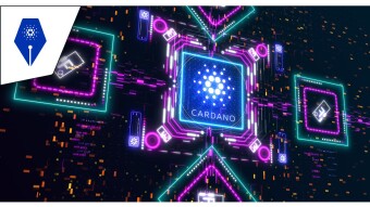 ADAwriter: Cardano & Pretendralization
