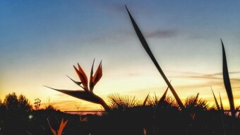 My Sunset Photos #19