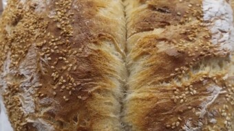 Foodbook #1261 homemade bread