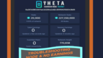 THETA GUARDIAN NODE/ No Earnings Troubleshooting: How to  Reset GUARDIAN PEERS