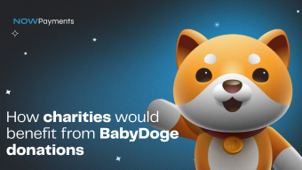 Benefits of charity donations in BabyDoge