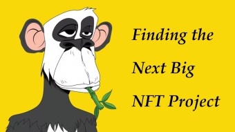 Finding the Next Big NFT Project