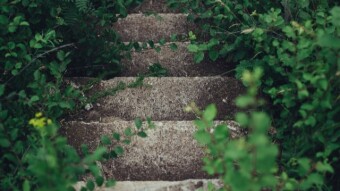 How a Sentence From God Grabbed Attention and Took Me on a Journey