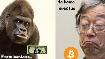 The theory of evolution according to Satoshi Nakamoto