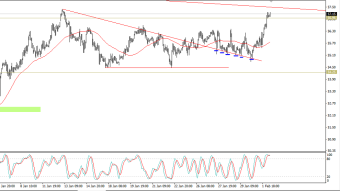 Petroleum close to the D1 trend line