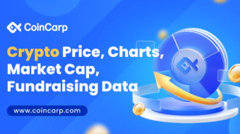 October 2024 Global Cryptocurrency Fundraising Report