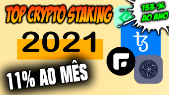 STAKE RETURNING 11% PER MONTH R$ 24.50 EVERY MONTH I AM EARNING (133% PER YEAR)