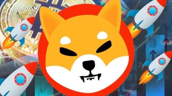 Let Shiba Inu work