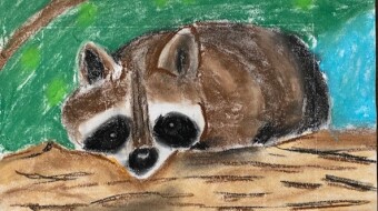 Pastel Trash Panda