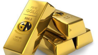Diversify Your Portfolio with Goldenugget: A Look at the Different Use Cases of the GNTO Token