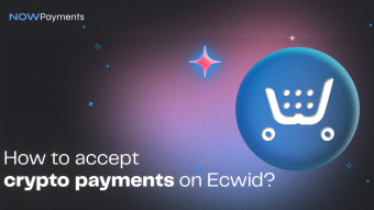 How to accept crypto payments on Ecwid plugin?
