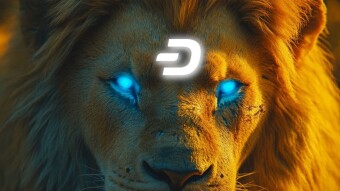 Dash collabora con il Social Network InLeo