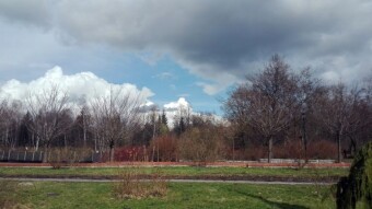 The sun told us to undress, and the raining hail to dress - My Actifit Report Card: March 25 2023